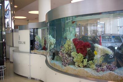 Executive Aquarium & Pond Service - Trade Shows