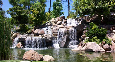 Executive Aquarium & Pond Service - Ponds and Waterfalls