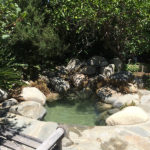 Ponds - Executive Aquarium & Pond Service