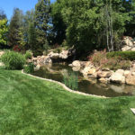 Ponds - Executive Aquarium & Pond Service