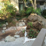 Pond Design - Executive Aquarium & Pond Service