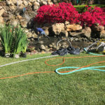 Pond Design - Executive Aquarium & Pond Service