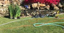 Pond Design - Executive Aquarium & Pond Service