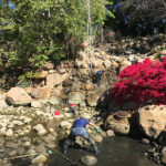 Pond Design - Executive Aquarium & Pond Service