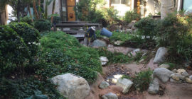 Pond Design - Executive Aquarium & Pond Service