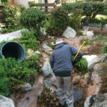 Pond Design - Executive Aquarium & Pond Service
