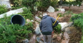 Pond Design - Executive Aquarium & Pond Service