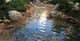 Waterfall - Executive Aquarium & Pond Service