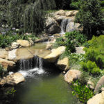 Waterfall - Executive Aquarium & Pond Service