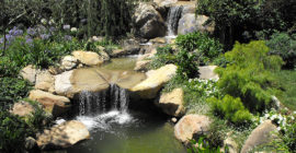 Waterfall - Executive Aquarium & Pond Service