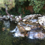 Waterfall - Executive Aquarium & Pond Service