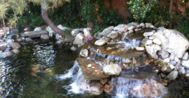 Waterfall - Executive Aquarium & Pond Service