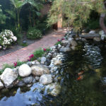 Waterfall - Executive Aquarium & Pond Service