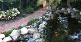 Waterfall - Executive Aquarium & Pond Service