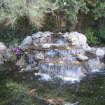 Waterfall - Executive Aquarium & Pond Service